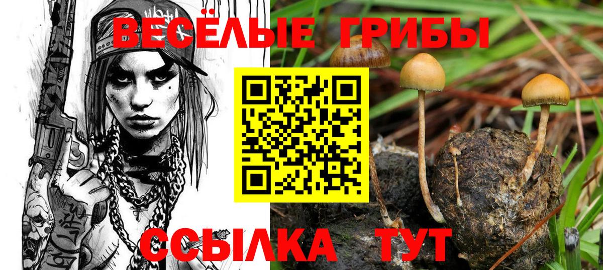 Галлюциногенные грибы ЛСД Новокубанск