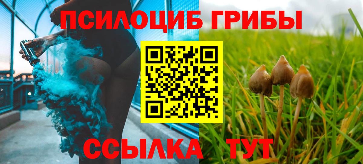 купить   Псилоцибиновые грибы мухоморы  Вход с VPN  Новокубанск  Галлюциногенные грибы ЛСД 