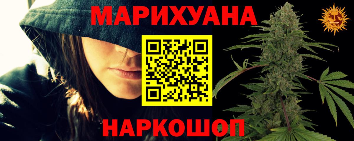 Канабис сатива Новокубанск